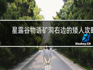 星露谷物语矿洞右边的矮人攻略