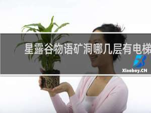 星露谷物语矿洞哪几层有电梯