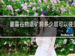 星露谷物语矿洞多少层可以碰见