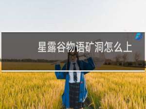 星露谷物语矿洞怎么上