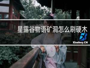 星露谷物语矿洞怎么刷硬木