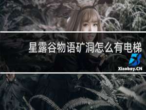 星露谷物语矿洞怎么有电梯