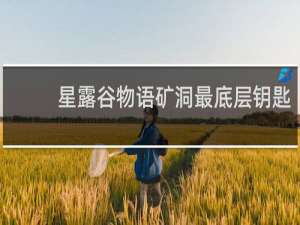 星露谷物语矿洞最底层钥匙