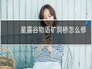 星露谷物语矿洞桥怎么修
