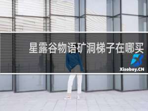 星露谷物语矿洞梯子在哪买