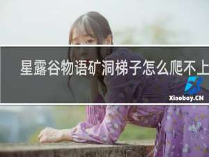 星露谷物语矿洞梯子怎么爬不上去