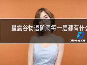 星露谷物语矿洞每一层都有什么