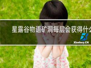 星露谷物语矿洞每层会获得什么