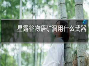 星露谷物语矿洞用什么武器