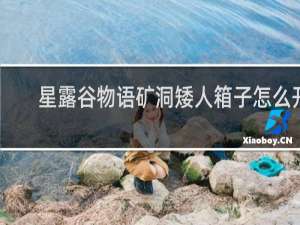 星露谷物语矿洞矮人箱子怎么开