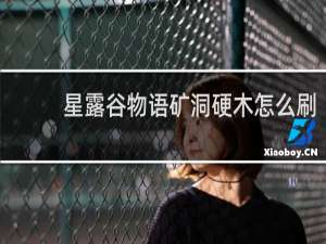 星露谷物语矿洞硬木怎么刷