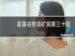 星露谷物语矿洞第三十层