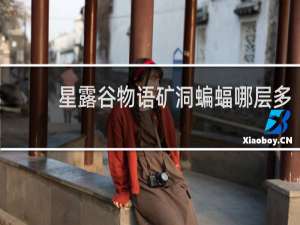 星露谷物语矿洞蝙蝠哪层多