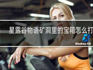 星露谷物语矿洞里的宝箱怎么打开
