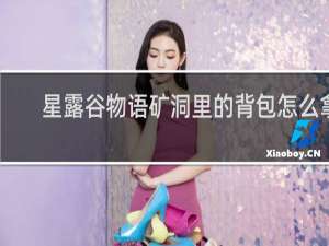 星露谷物语矿洞里的背包怎么拿