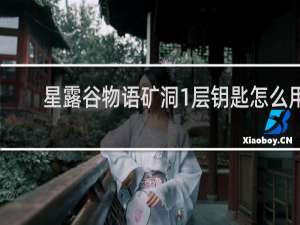 星露谷物语矿洞1层钥匙怎么用