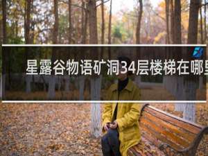 星露谷物语矿洞34层楼梯在哪里