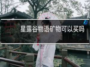 星露谷物语矿物可以买吗