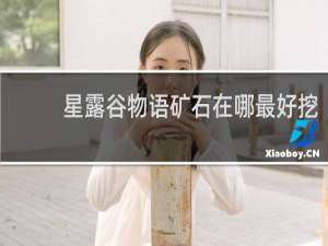 星露谷物语矿石在哪最好挖