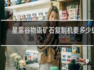 星露谷物语矿石复制机要多少级