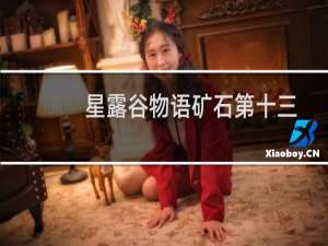 星露谷物语矿石第十三