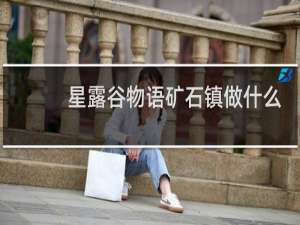 星露谷物语矿石镇做什么