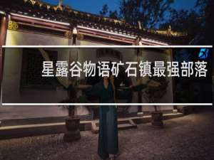 星露谷物语矿石镇最强部落