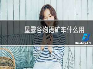 星露谷物语矿车什么用