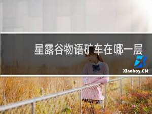 星露谷物语矿车在哪一层