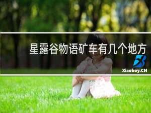 星露谷物语矿车有几个地方