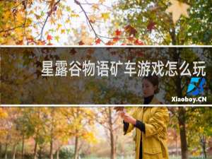 星露谷物语矿车游戏怎么玩