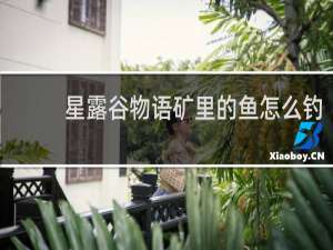 星露谷物语矿里的鱼怎么钓