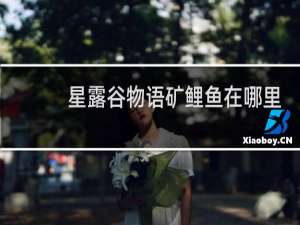 星露谷物语矿鲤鱼在哪里