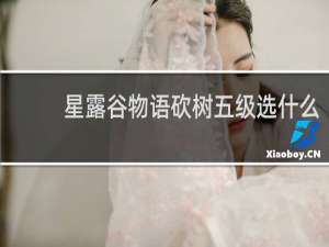 星露谷物语砍树五级选什么