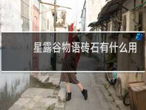 星露谷物语砖石有什么用