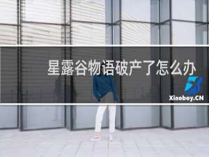 星露谷物语破产了怎么办