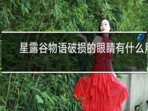 星露谷物语破损的眼睛有什么用