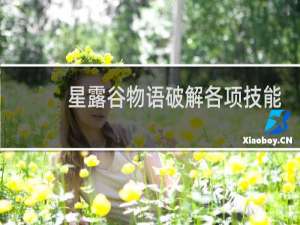 星露谷物语破解各项技能