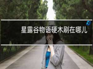 星露谷物语硬木刷在哪儿