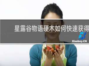 星露谷物语硬木如何快速获得