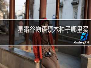 星露谷物语硬木种子哪里买