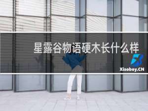 星露谷物语硬木长什么样