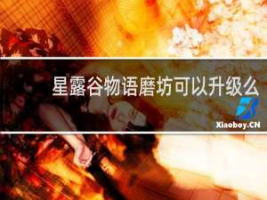 星露谷物语磨坊可以升级么