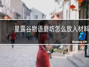 星露谷物语磨坊怎么放入材料