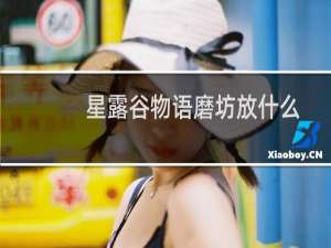 星露谷物语磨坊放什么