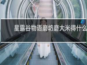 星露谷物语磨坊磨大米得什么