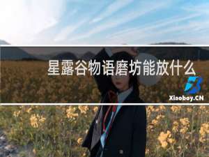 星露谷物语磨坊能放什么