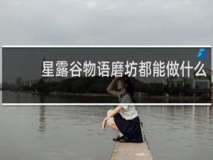 星露谷物语磨坊都能做什么