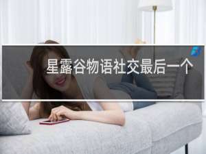 星露谷物语社交最后一个