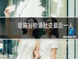 星露谷物语社交最后一人